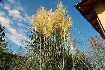 Agriturismo Ca Nuova Minerbio Agroturismo